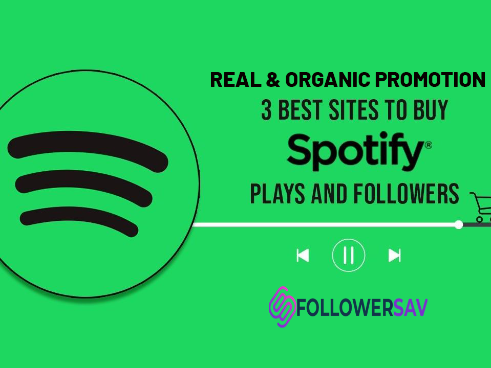 Top Provider Review: Best Site Buy Spotify Followers 2024